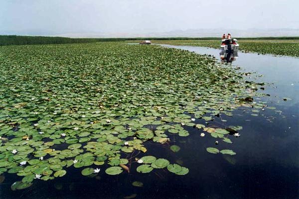 莲花湖