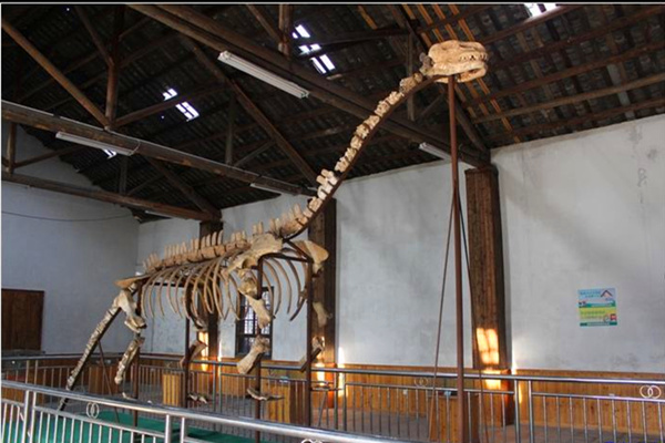 恐龙化石馆