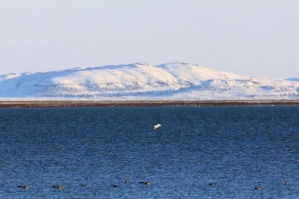 达里湖冬景
