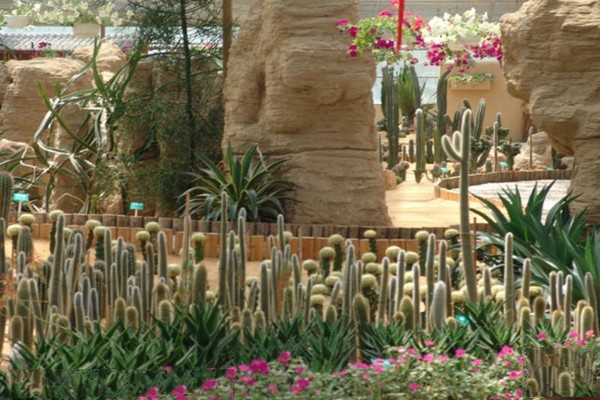 沙生植物馆