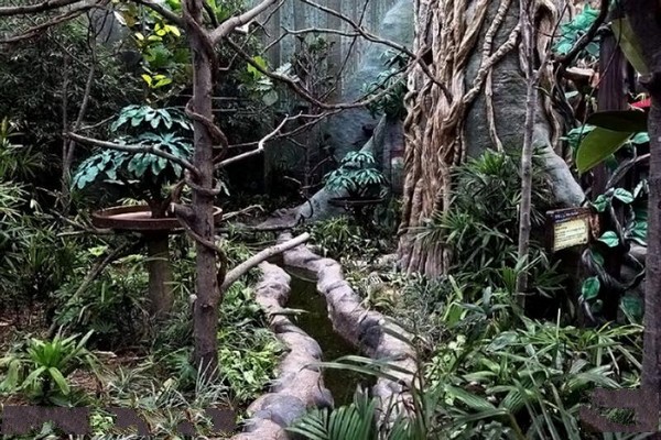 热带雨林探险径