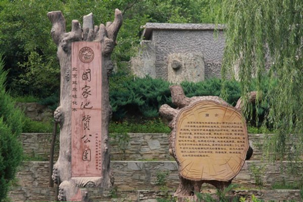 硅化木碑石