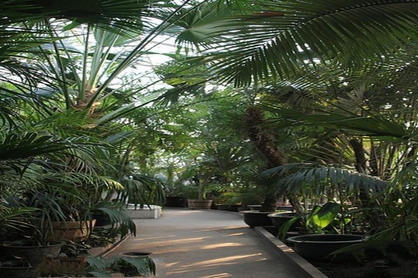 热带、亚热带植物展览温室