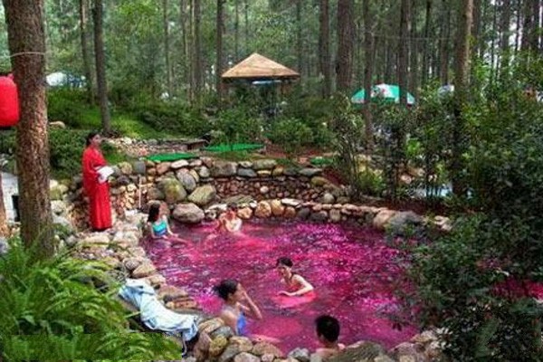 日式森林温泉