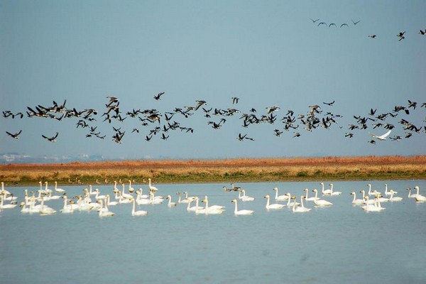 候鸟国家级自然保护区