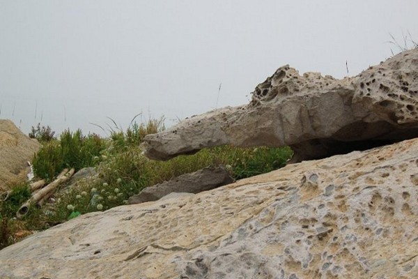 蜂窝岩