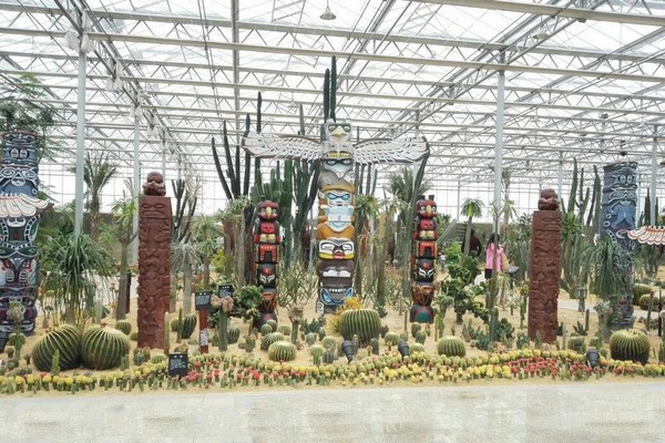 沙漠植物展示馆
