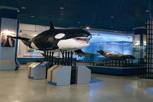 海洋哺乳动物展厅