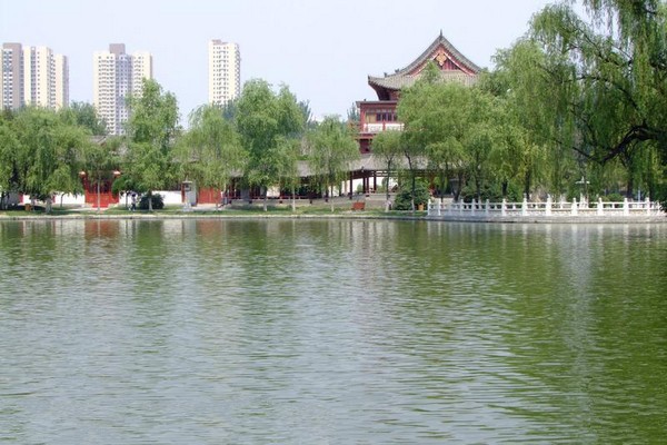 兴庆湖