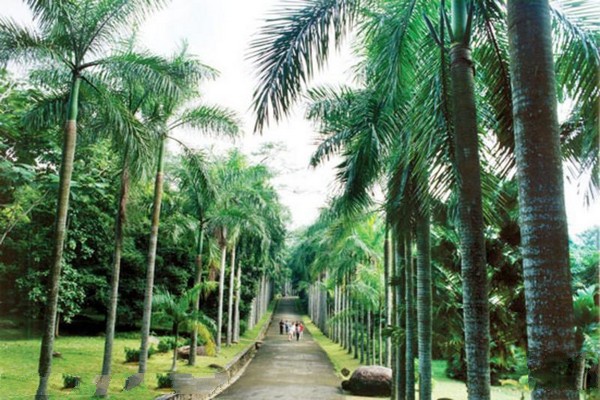 儋州校区植物园
