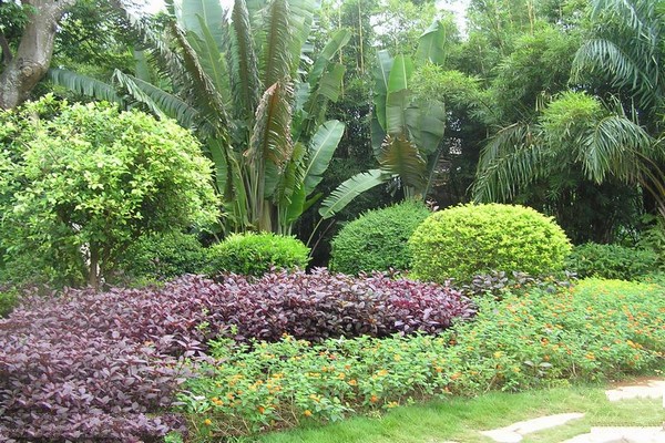 天涯热带植物苑
