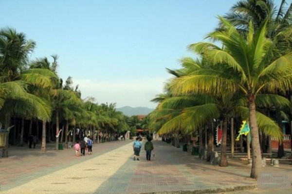 椰林休闲广场