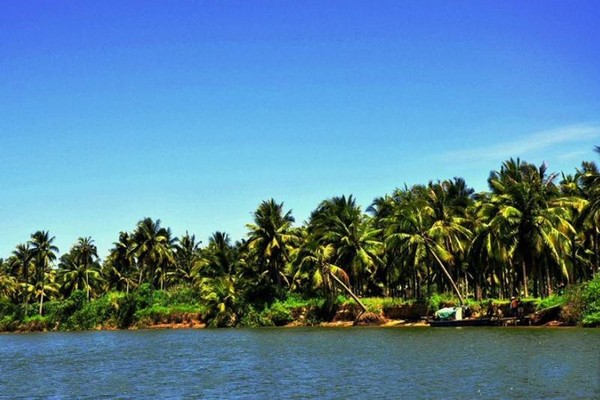椰子洲岛